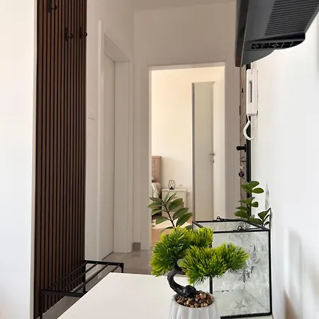Apartman Dm Centar